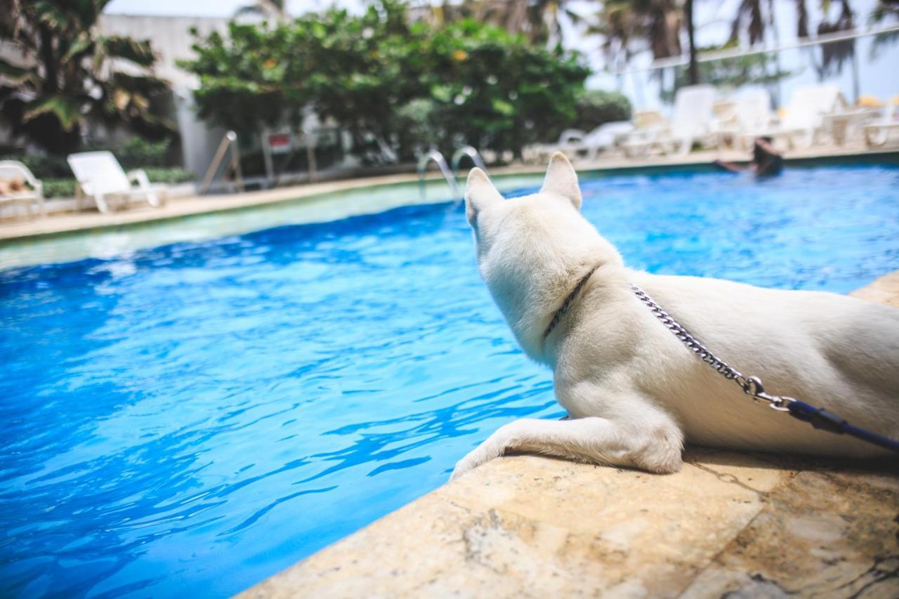 Hotel Playa Club Cartagène Extérieur photo